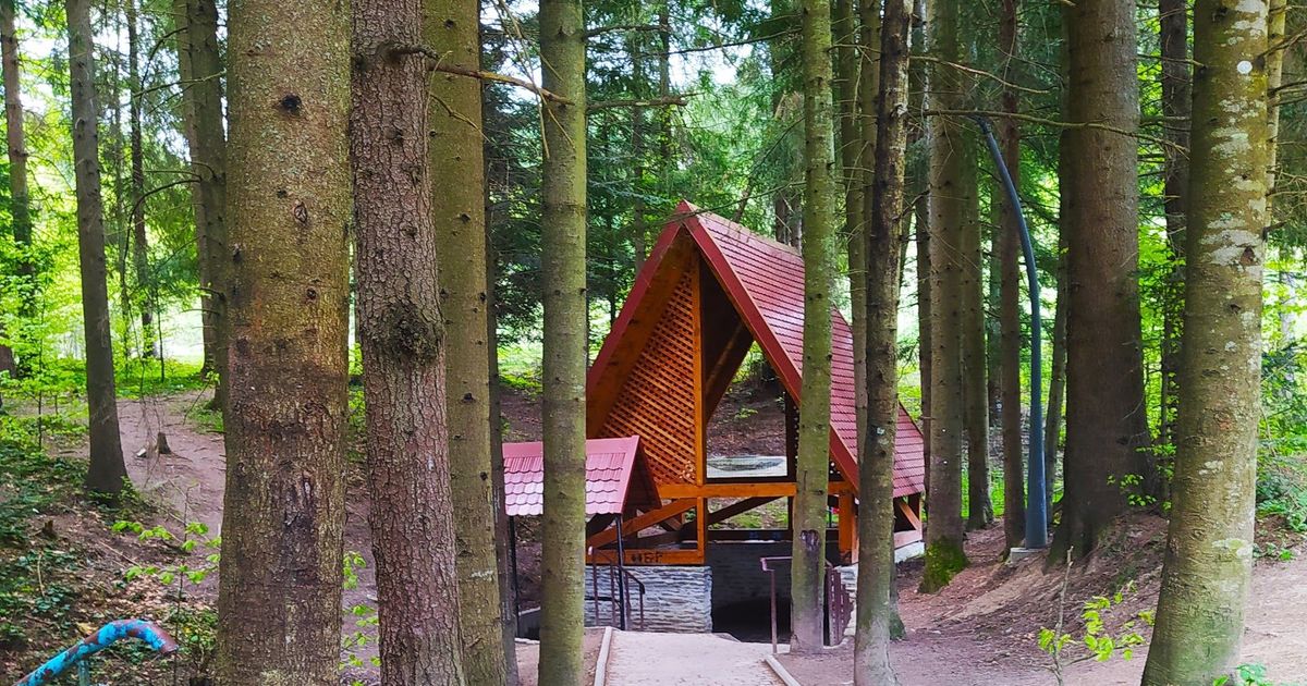 Джерела №25 і №26 у Східниці — фото локації