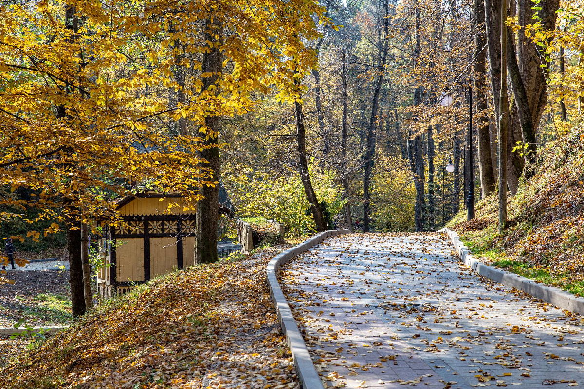 Курортний парк «Адамівка» — фото локації